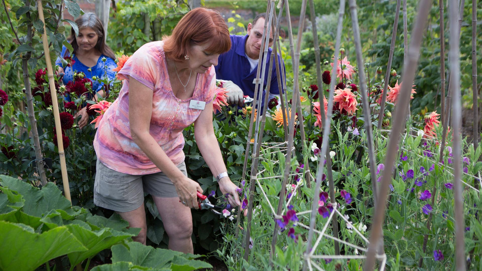 Sukarelawan hortikultura london