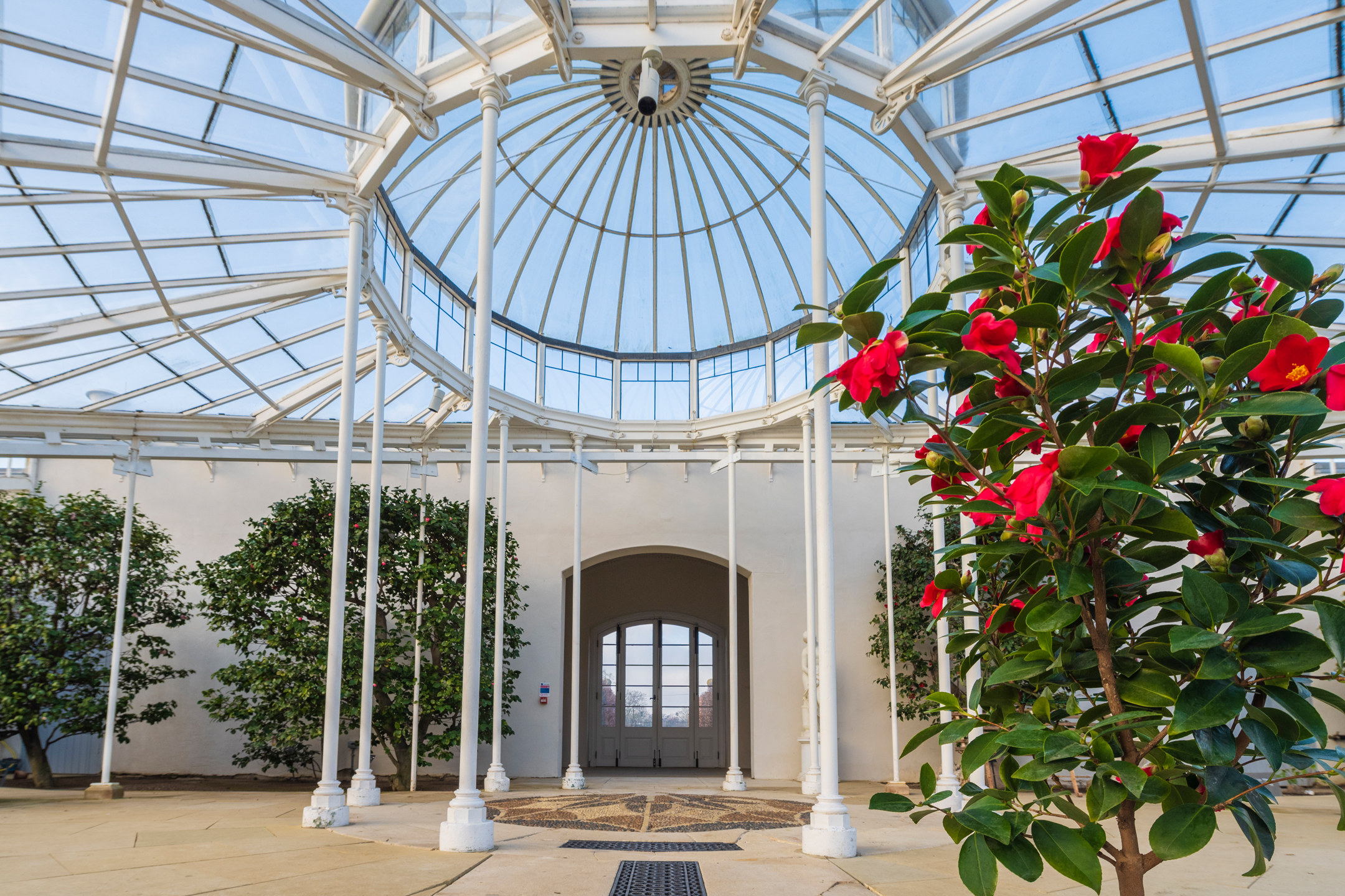 Celebration of the Camellia at Chanel & Chiswick House