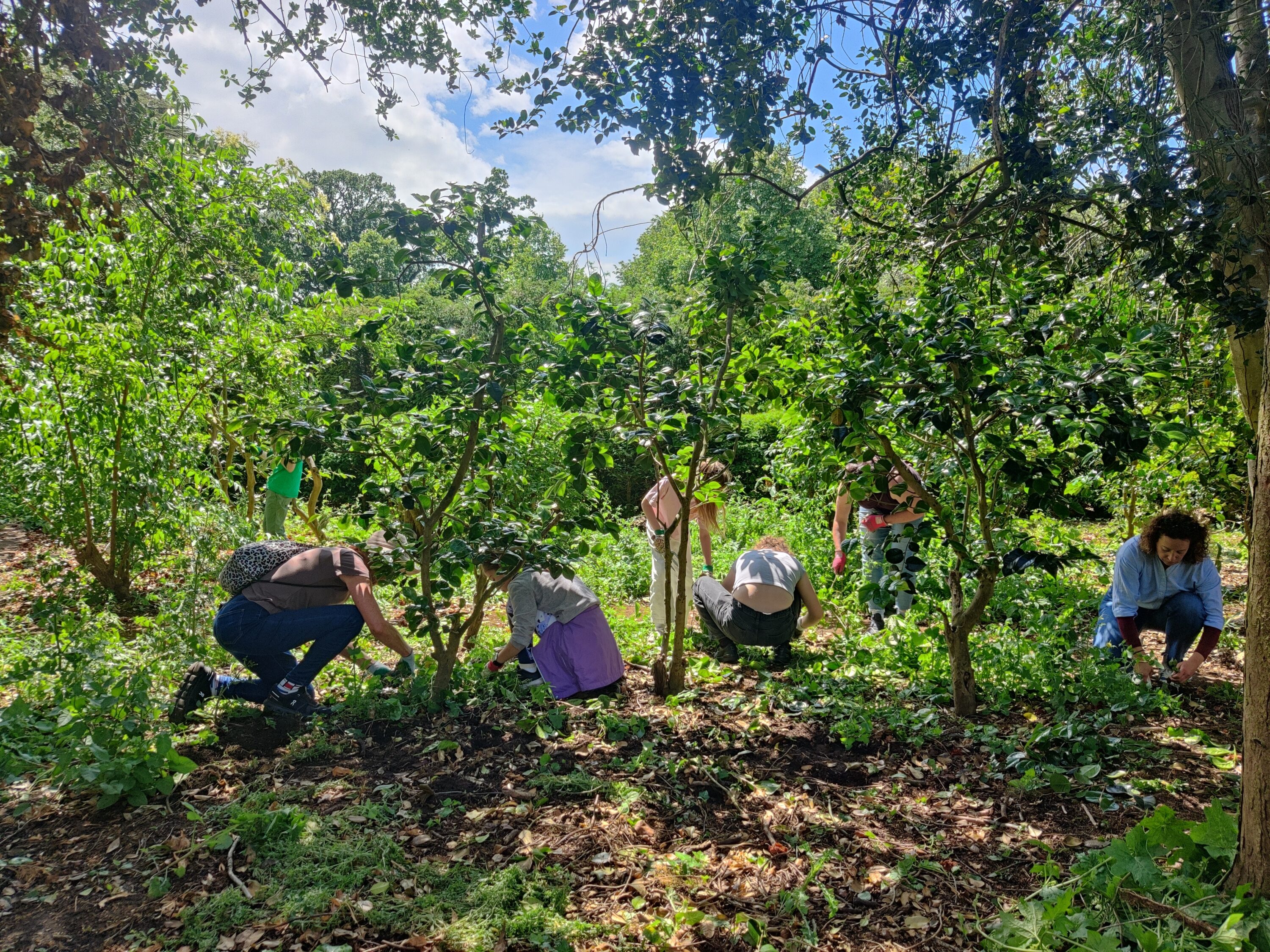 Gardening Together: October half-term