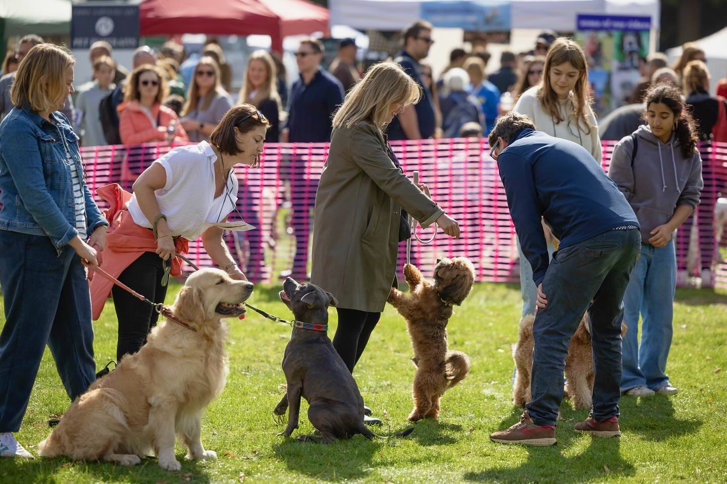 Chiswick House Dog Show