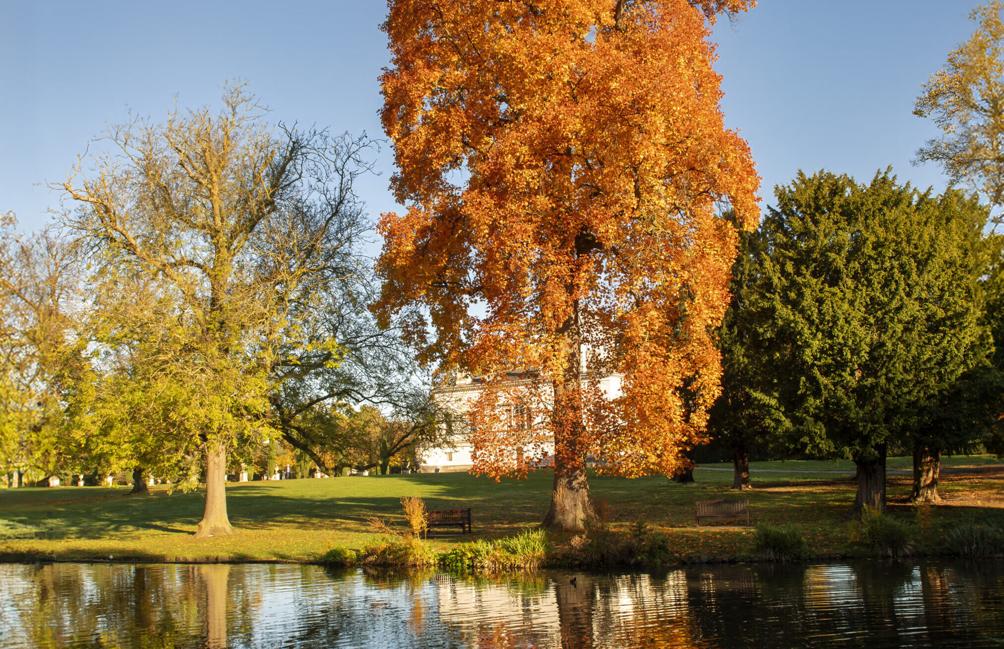Autumn Colour Walk