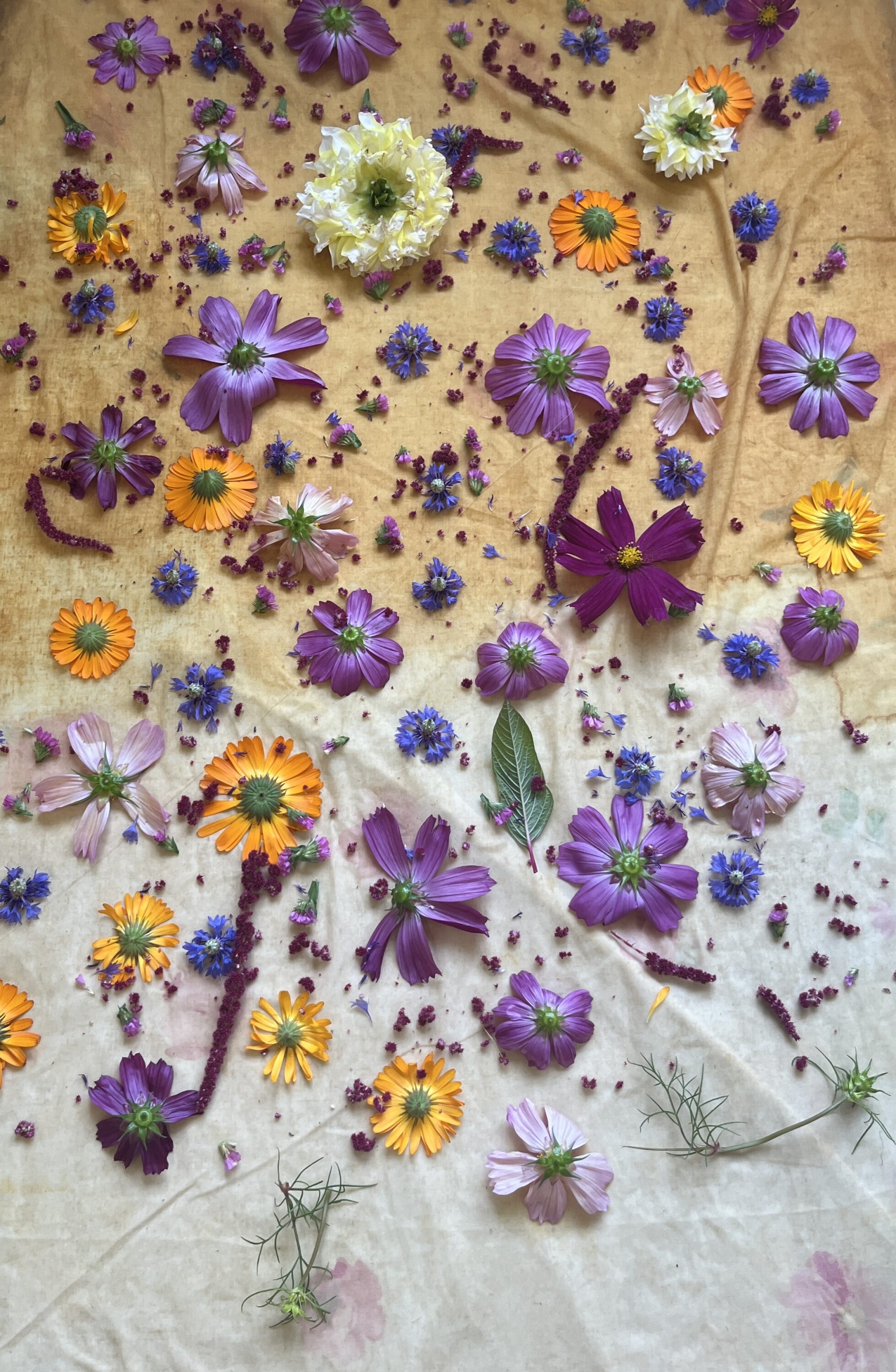 Natural Dye & Botanical Printing Silk Scarf Workshop